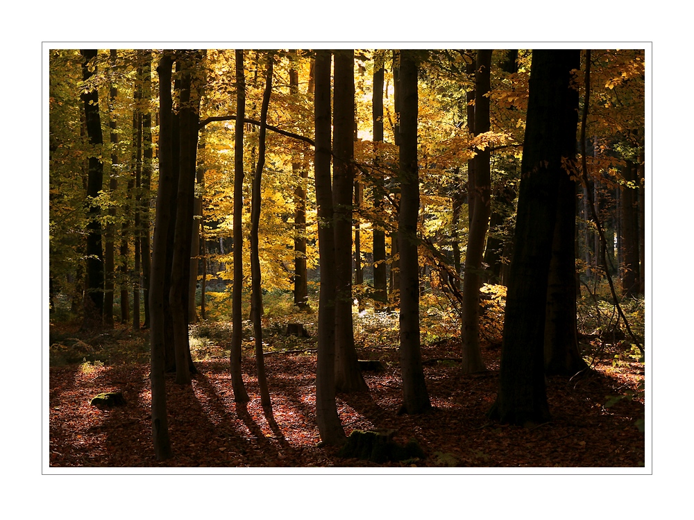 Goldener Oktober 2012