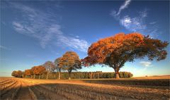 Goldener Oktober 2018