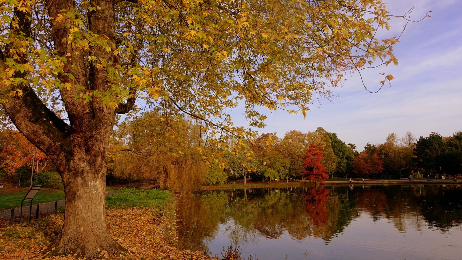 Goldener Oktober 2022