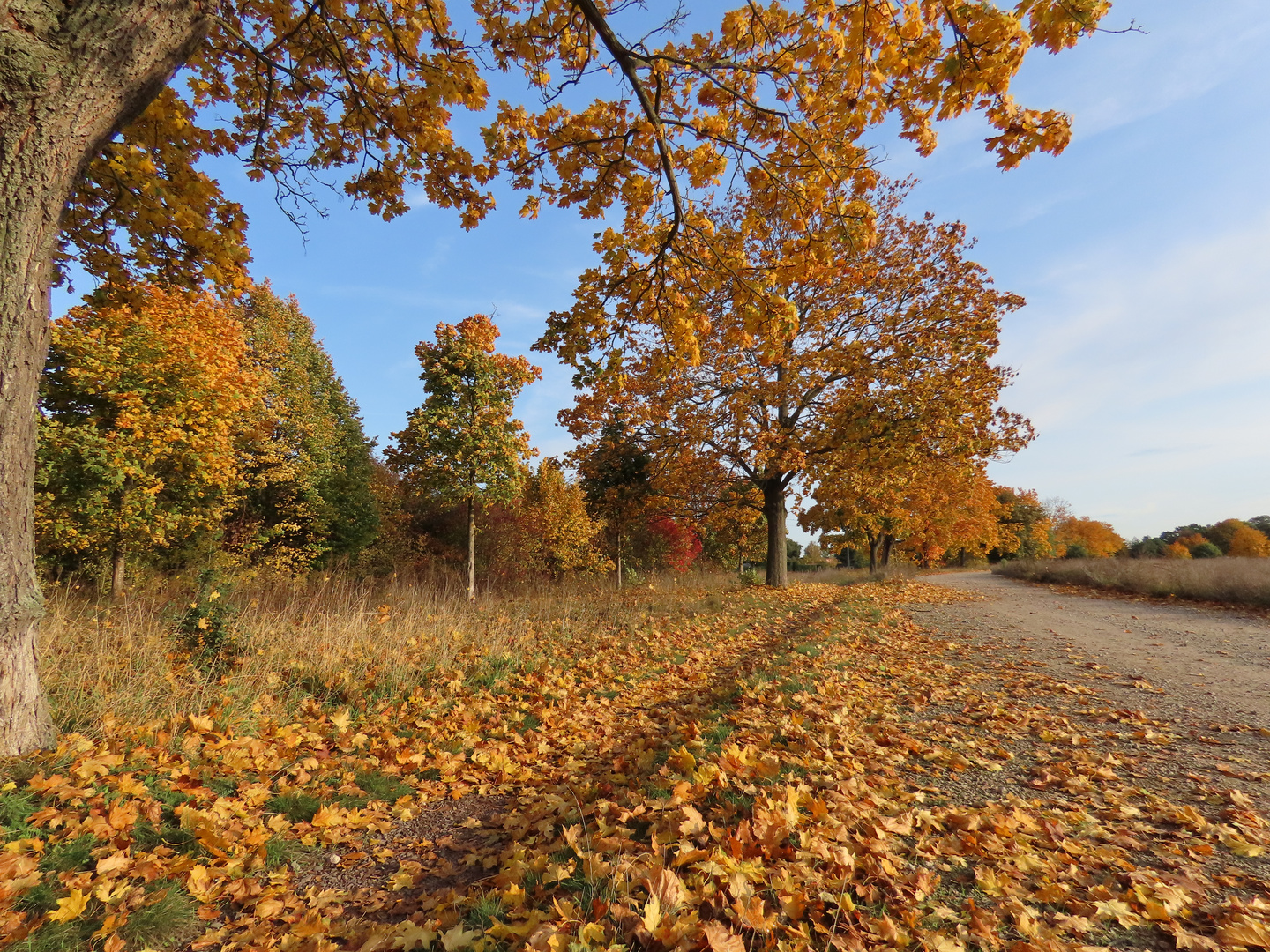 Goldener Oktober