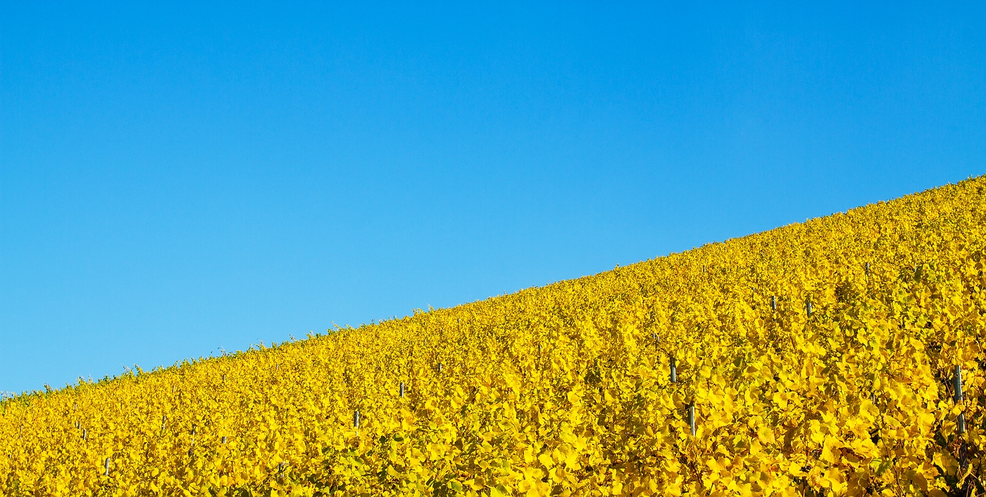 Goldener Oktober