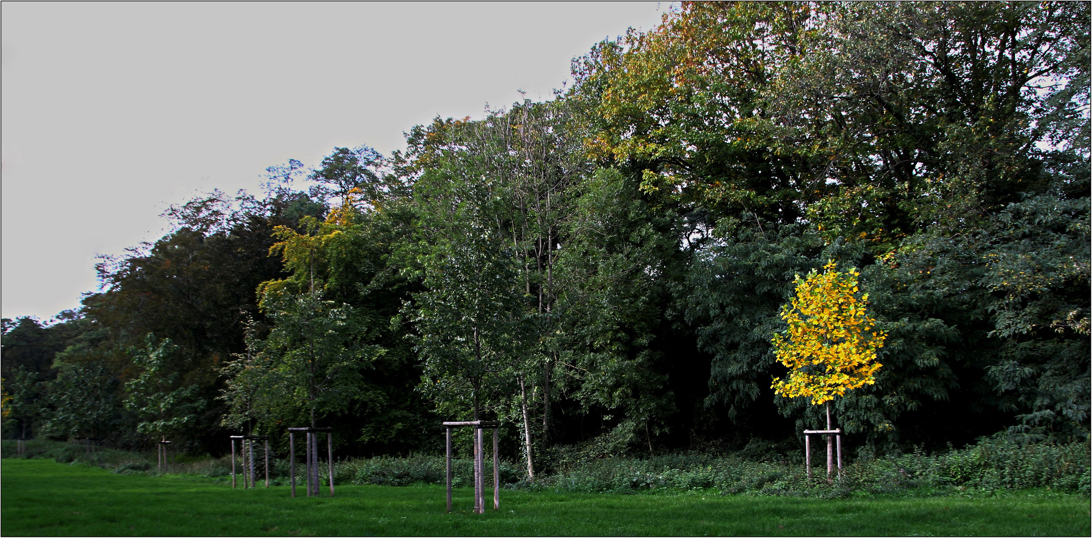 Goldener Oktober