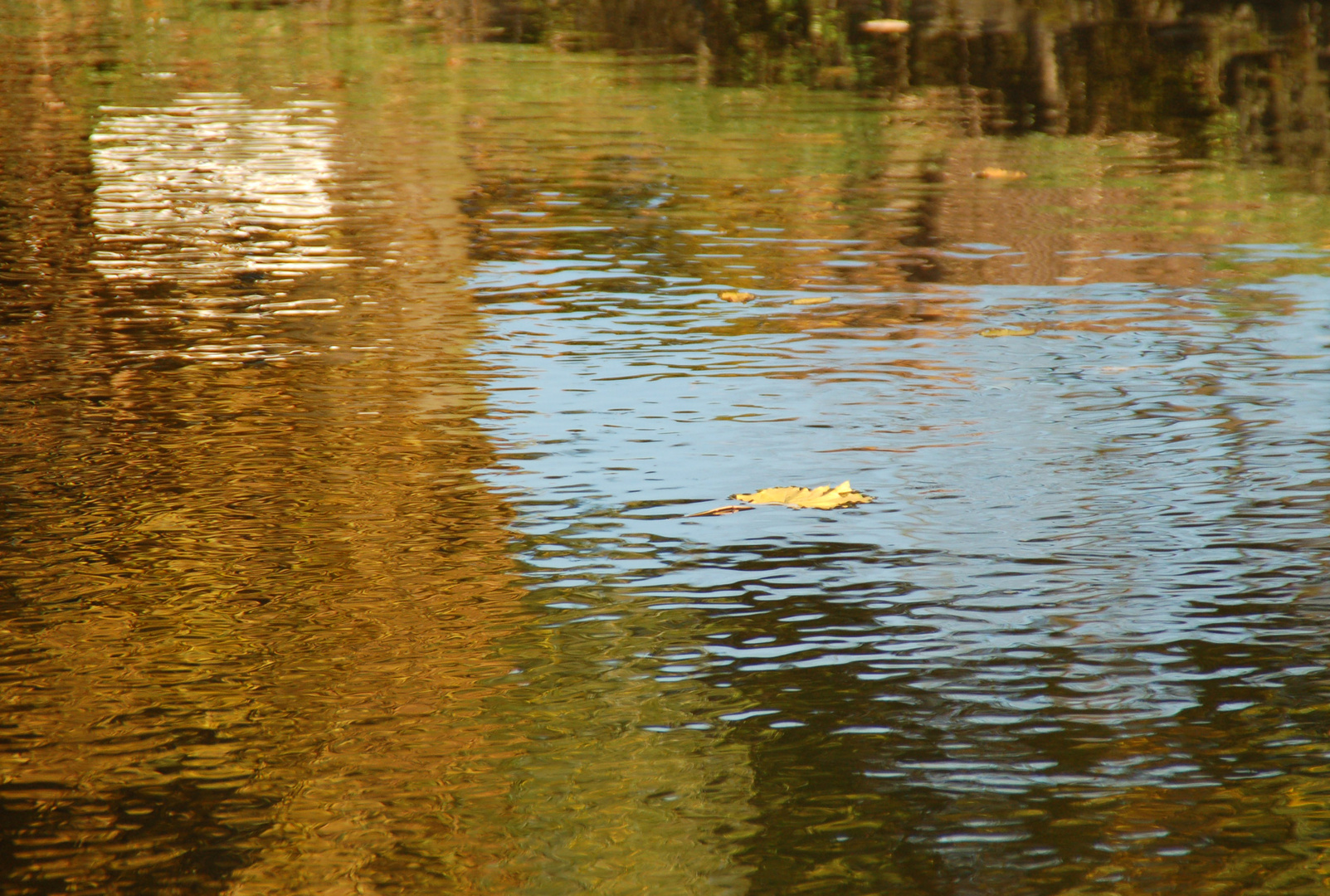 Goldener Oktober (3)