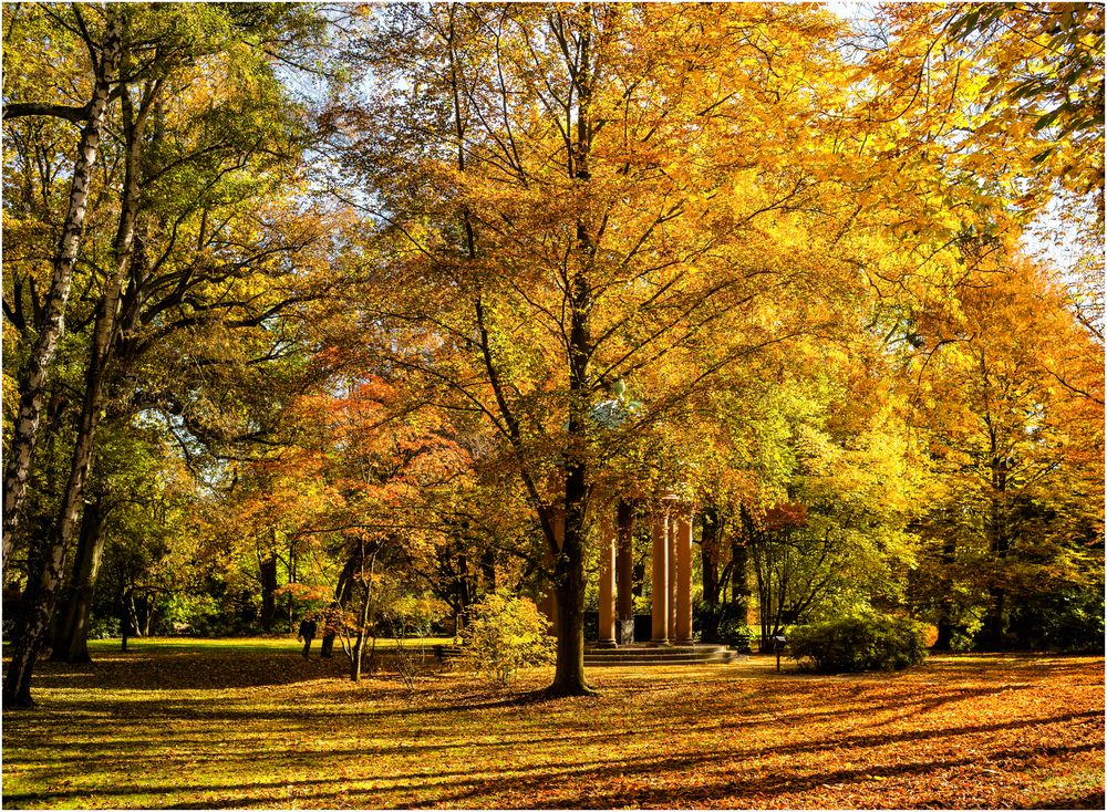 Goldener Oktober Foto & Bild | world, oktober, golden Bilder auf fotocommunity