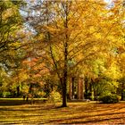 Goldener Oktober 