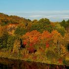 Goldener Oktober ....