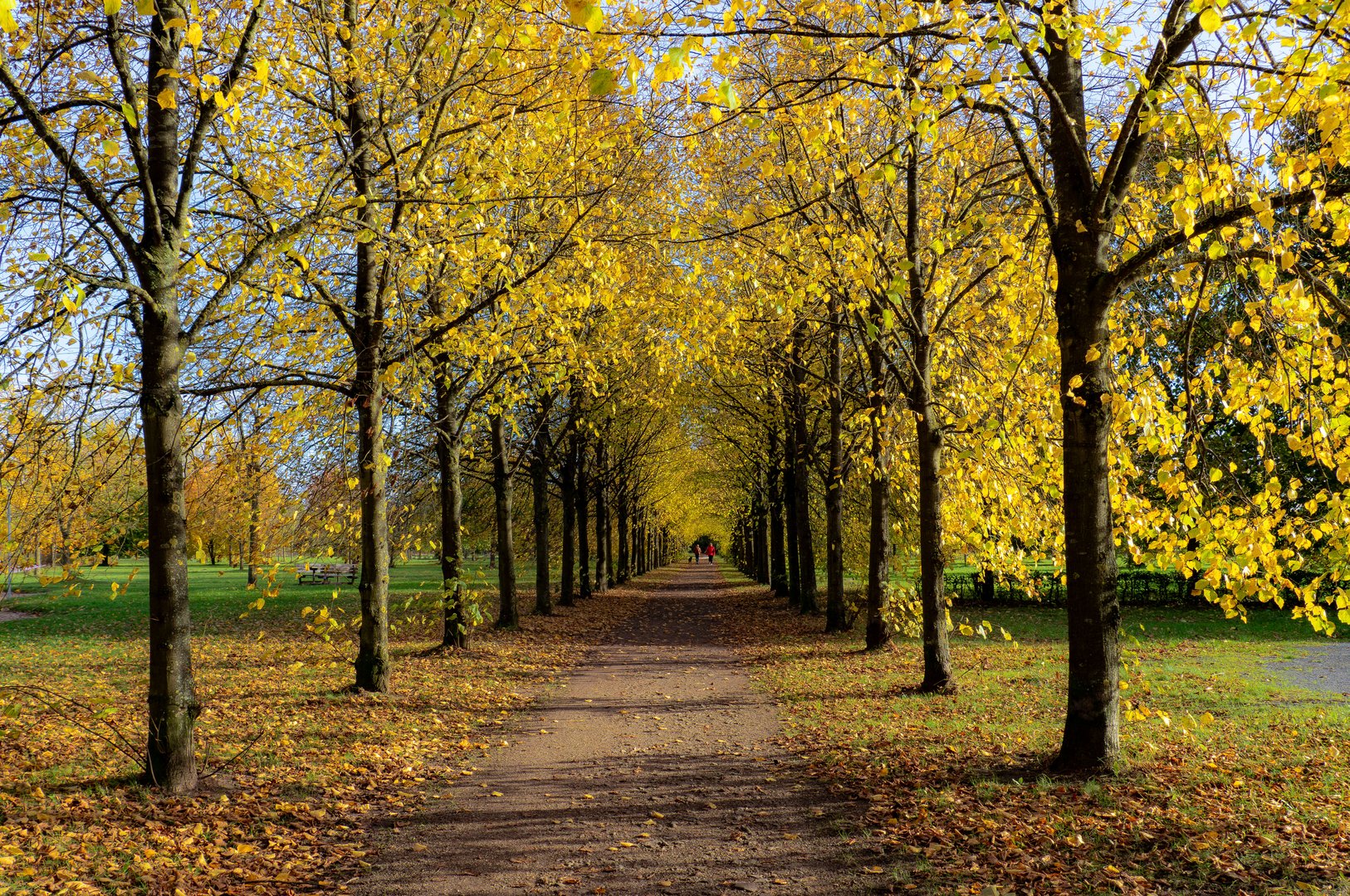 Goldener Oktober