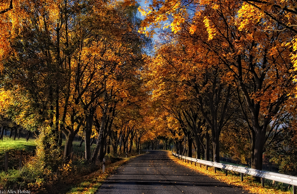 Goldener Oktober