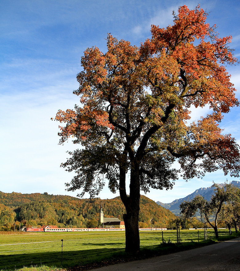 Goldener Oktober