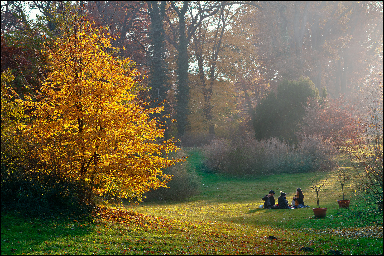 goldener Oktober