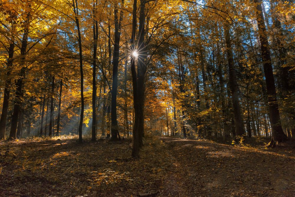 Goldener Oktober