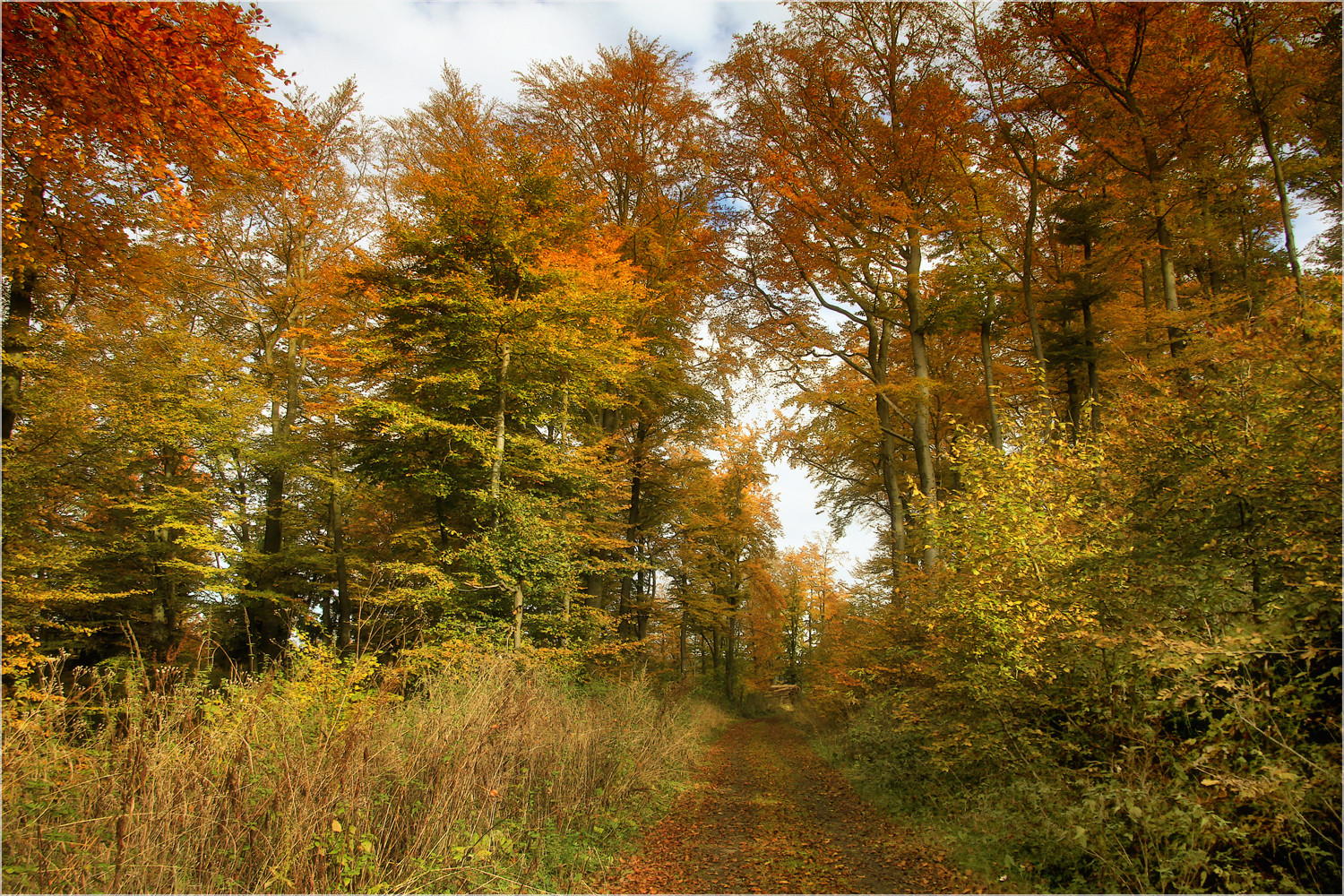 GOLDENER OKTOBER ??