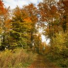 GOLDENER OKTOBER ??