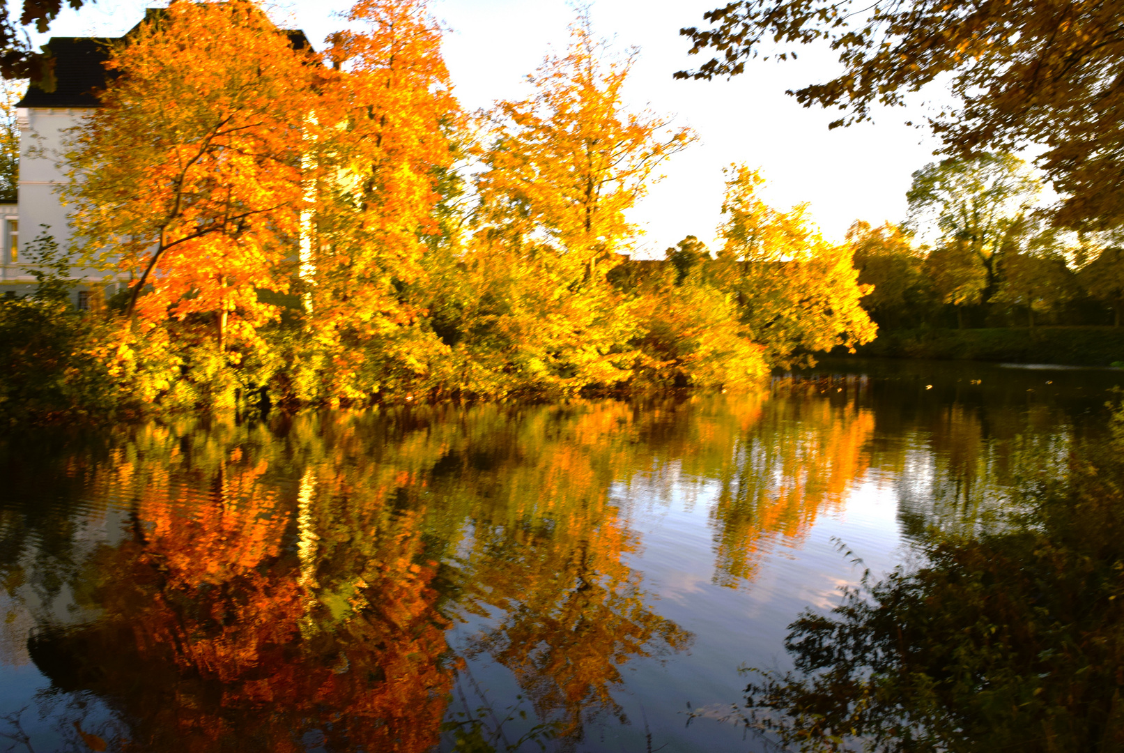 Goldener Oktober