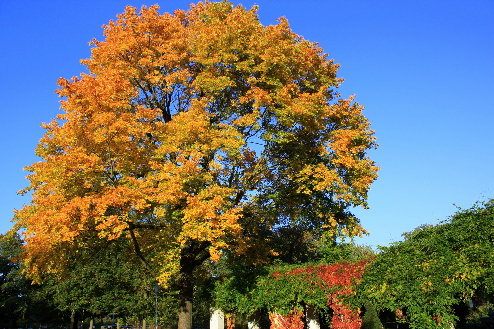 Goldener Oktober