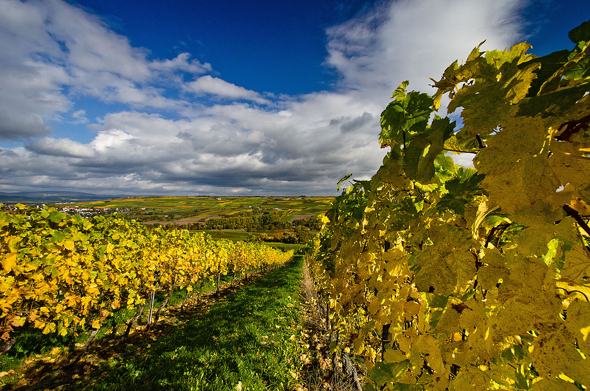 Goldener Oktober