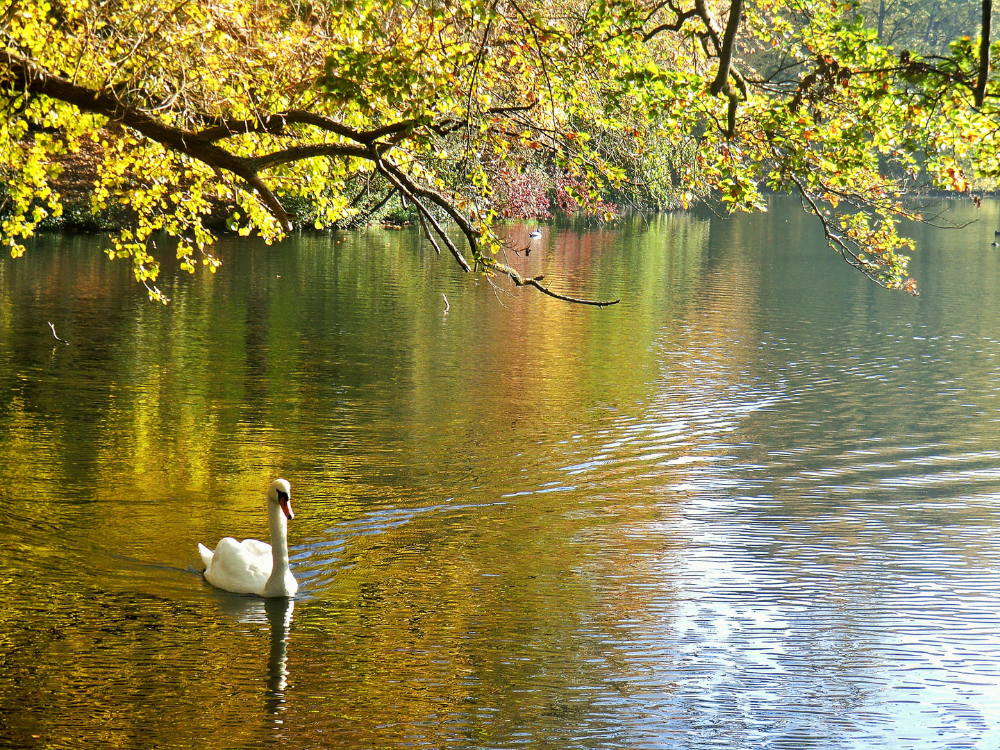 Goldener Oktober