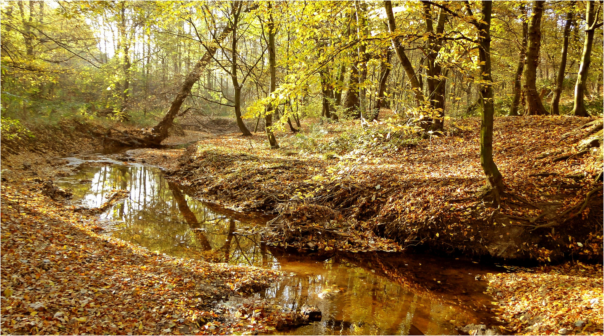 "Goldener Oktober" 4