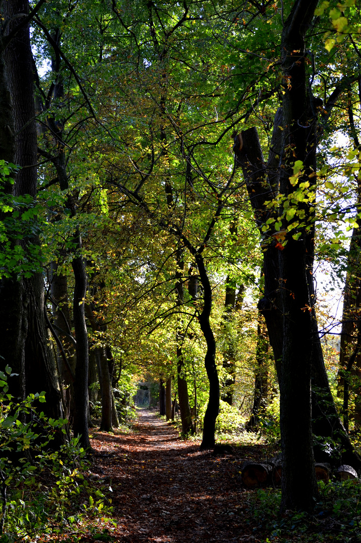 Goldener Oktober