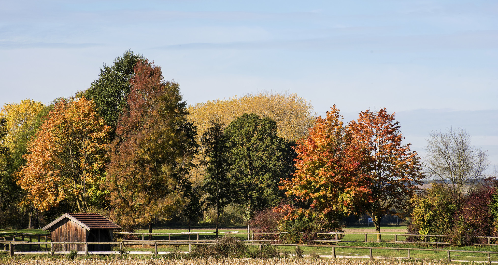 Goldener Oktober