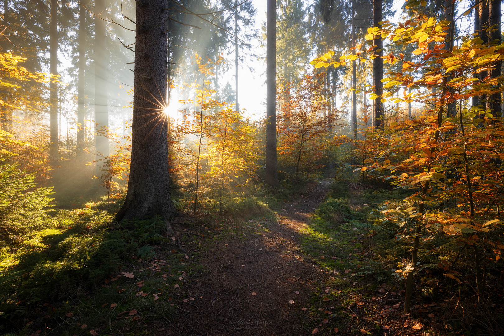 Goldener Oktober