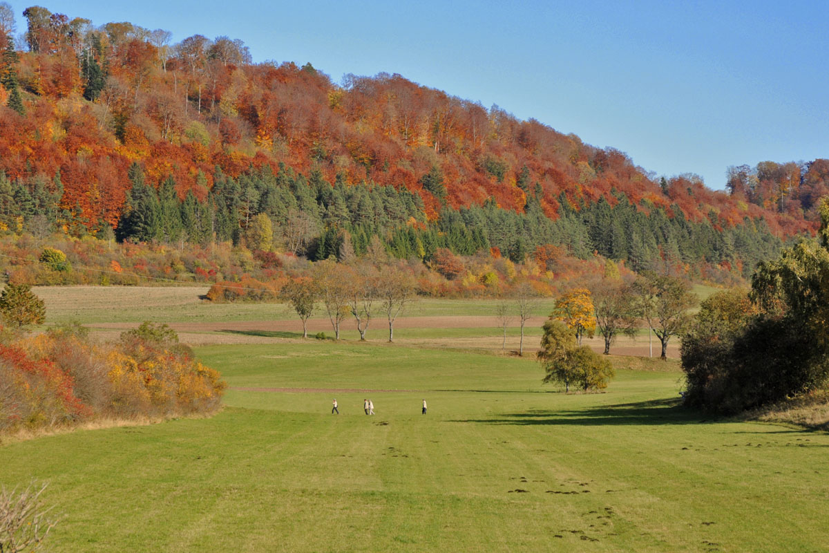 Goldener Oktober