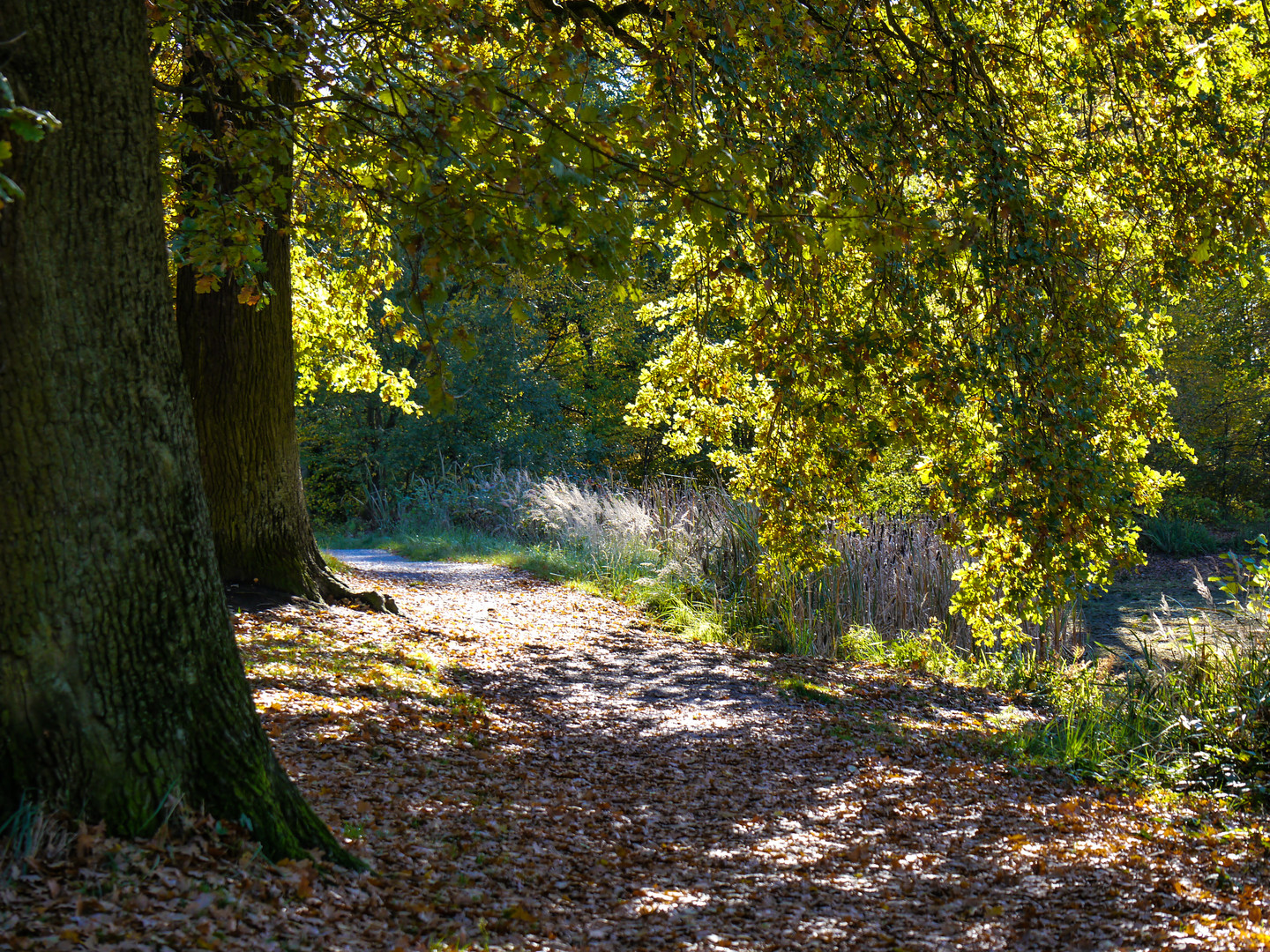 Goldener Oktober