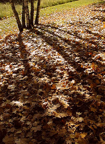 Goldener Oktober