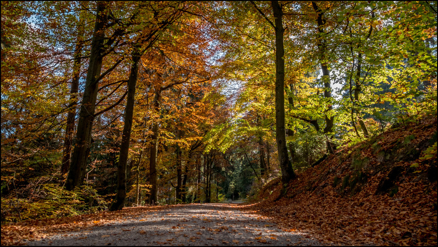 Goldener Oktober