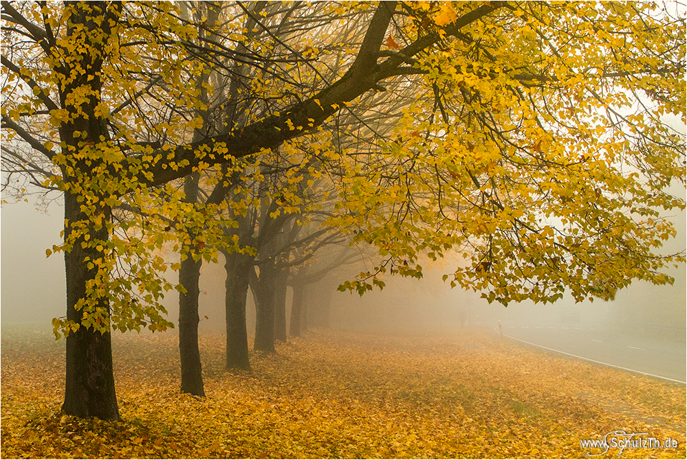 Goldener Oktober