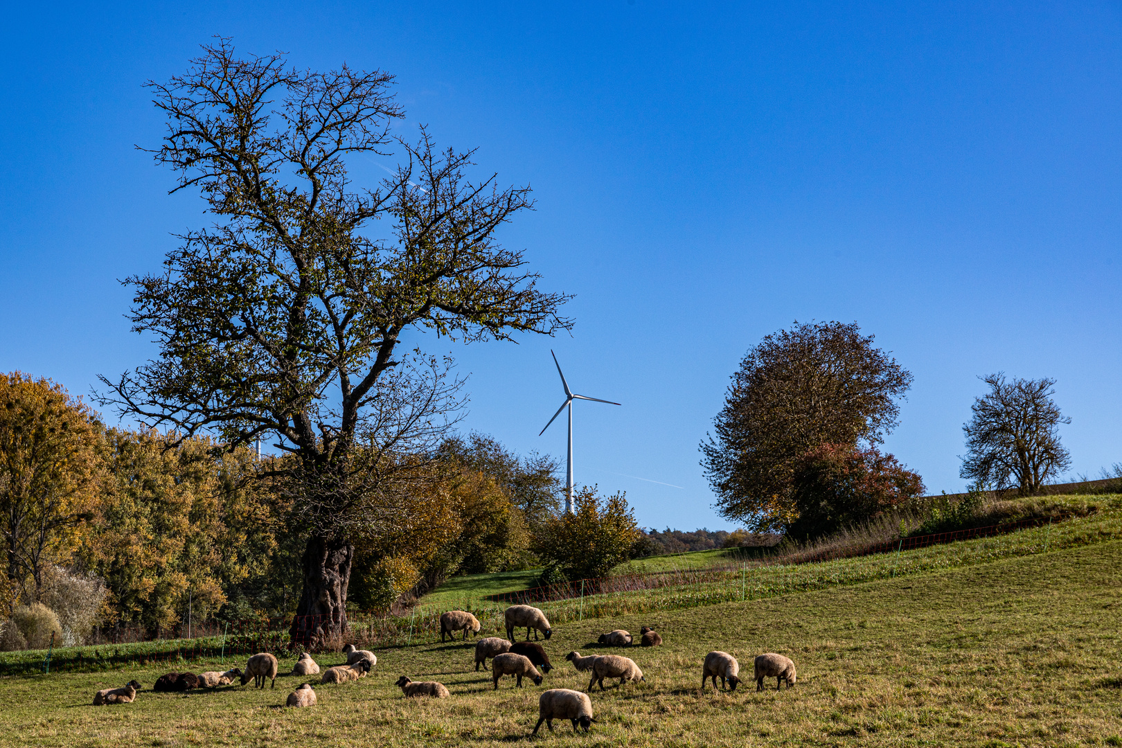 Goldener Oktober