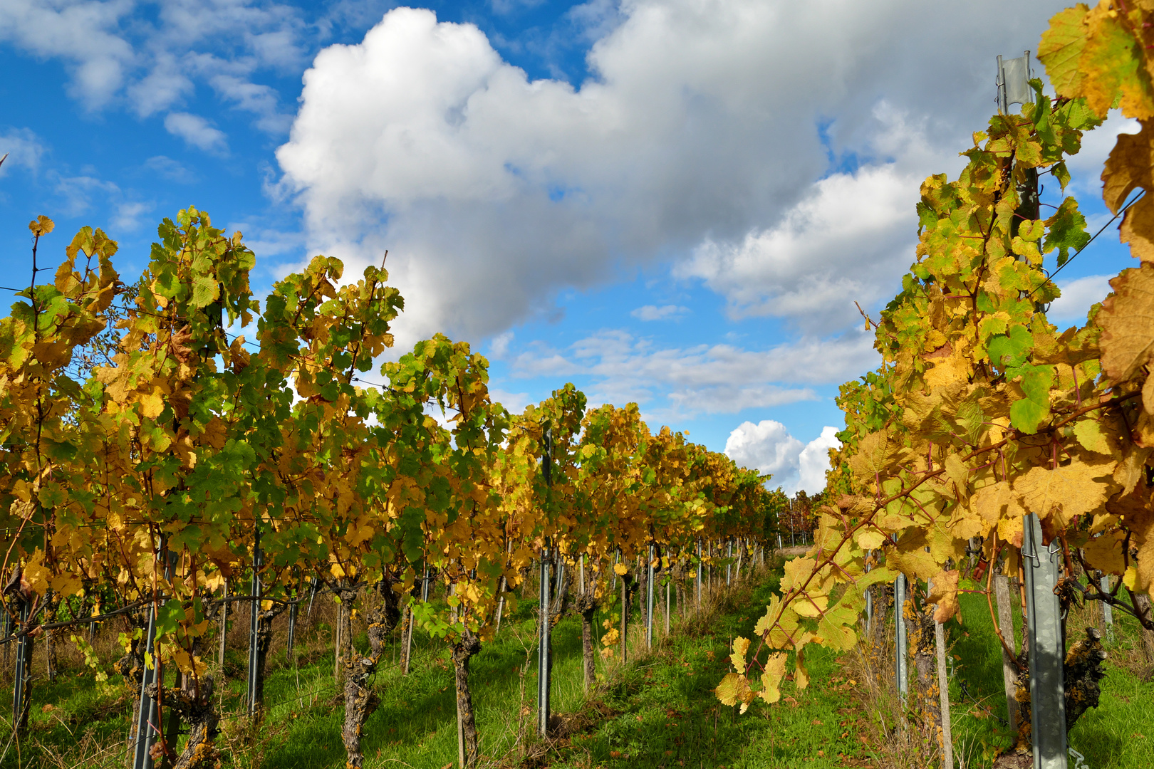 Goldener Oktober...