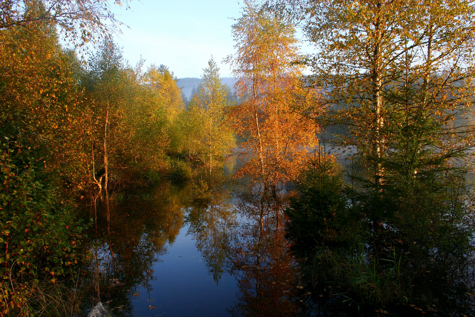 goldener Oktober