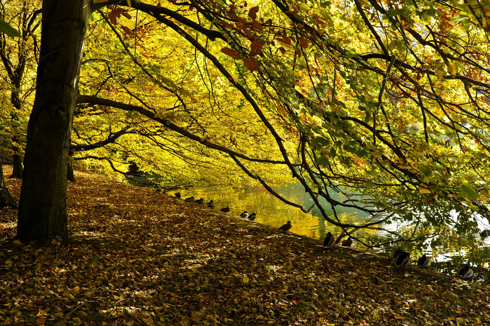 Goldener Oktober