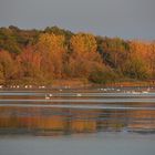 goldener OKTOBER