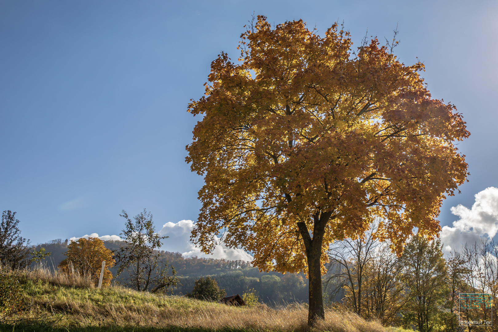 Goldener Oktober