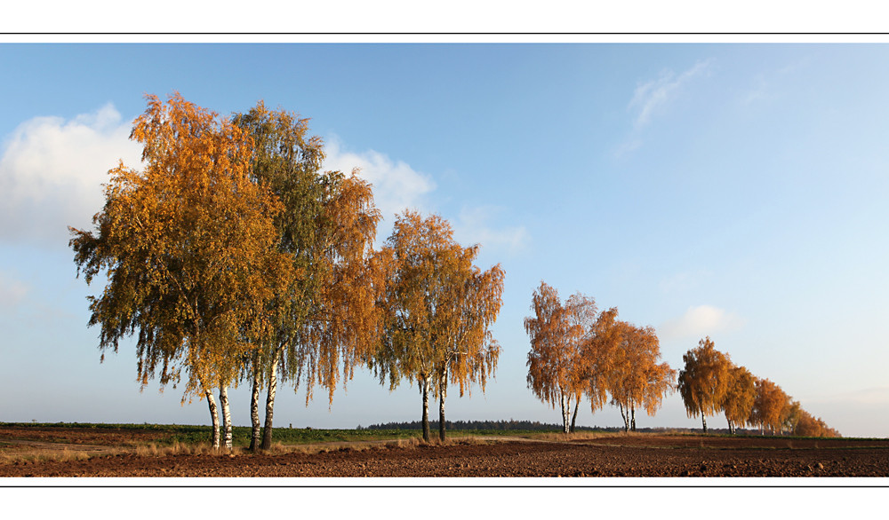 Goldener Oktober