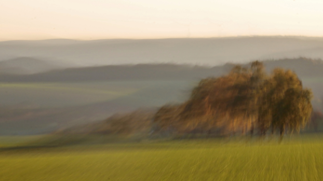 Goldener Oktober