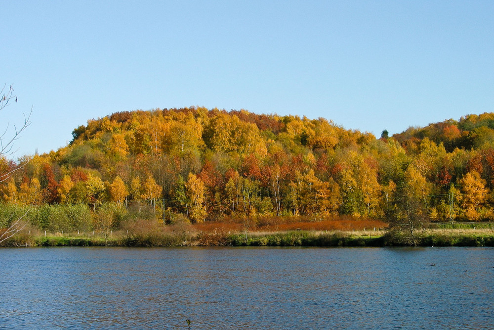 Goldener Oktober