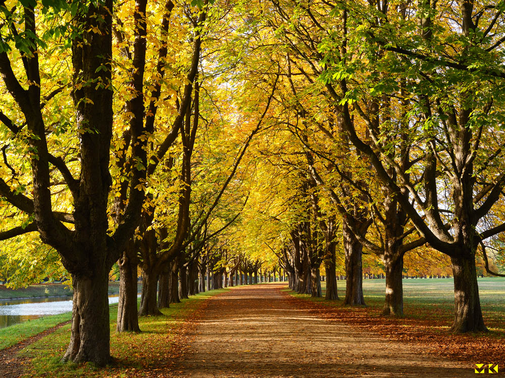 Goldener Oktober