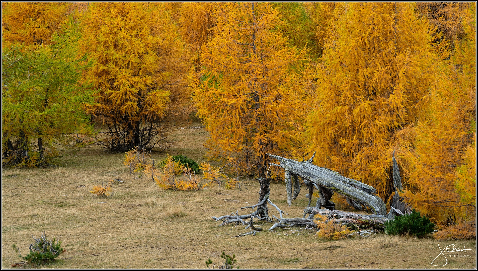 Goldener Oktober