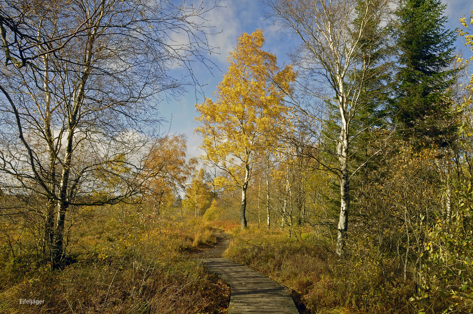 GOLDENER OKTOBER