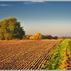 Goldener Oktober