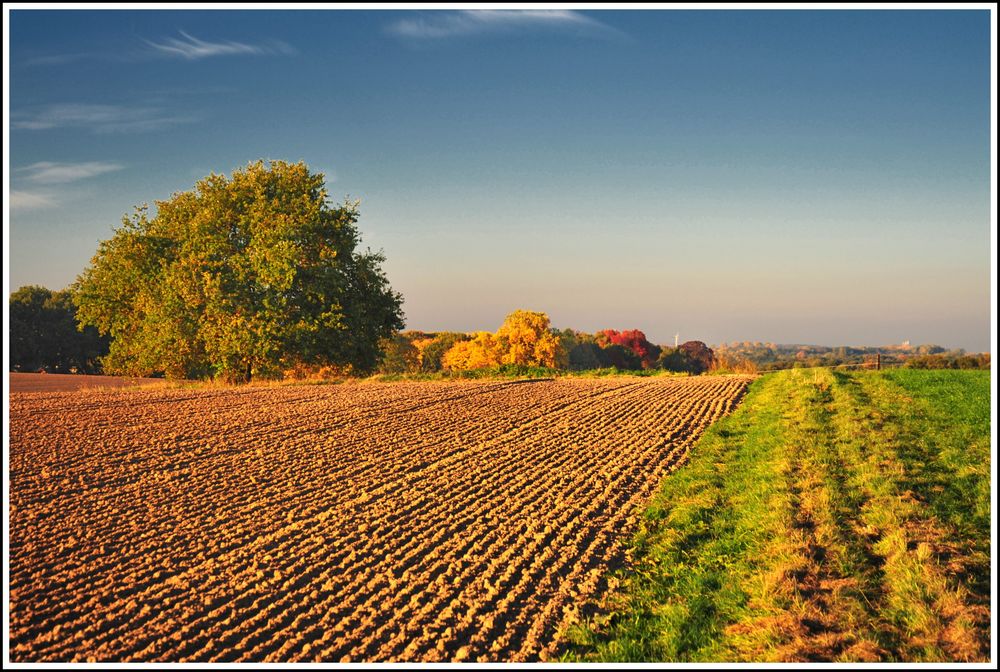 Goldener Oktober