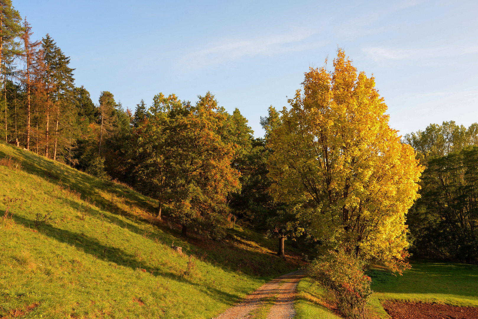 Goldener Oktober