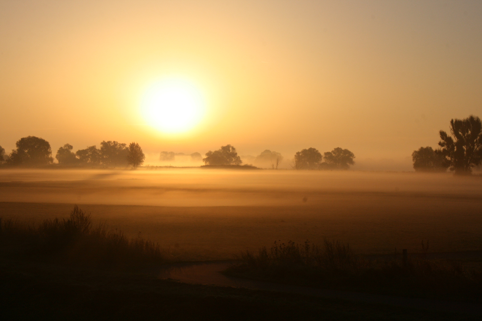 goldener Oktober