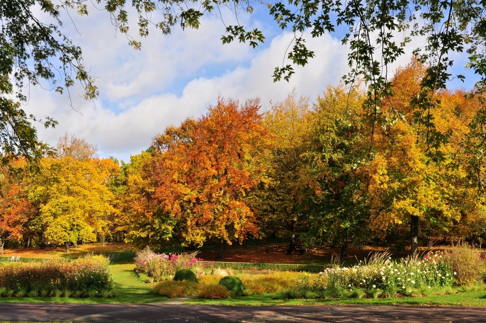 Goldener Oktober....