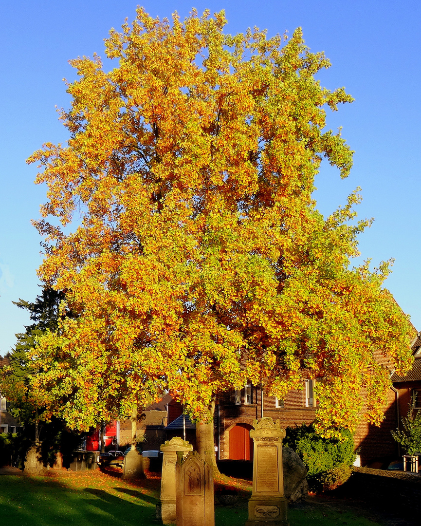 Goldener Oktober