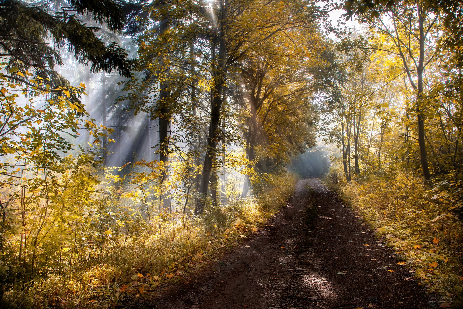 goldener Oktober