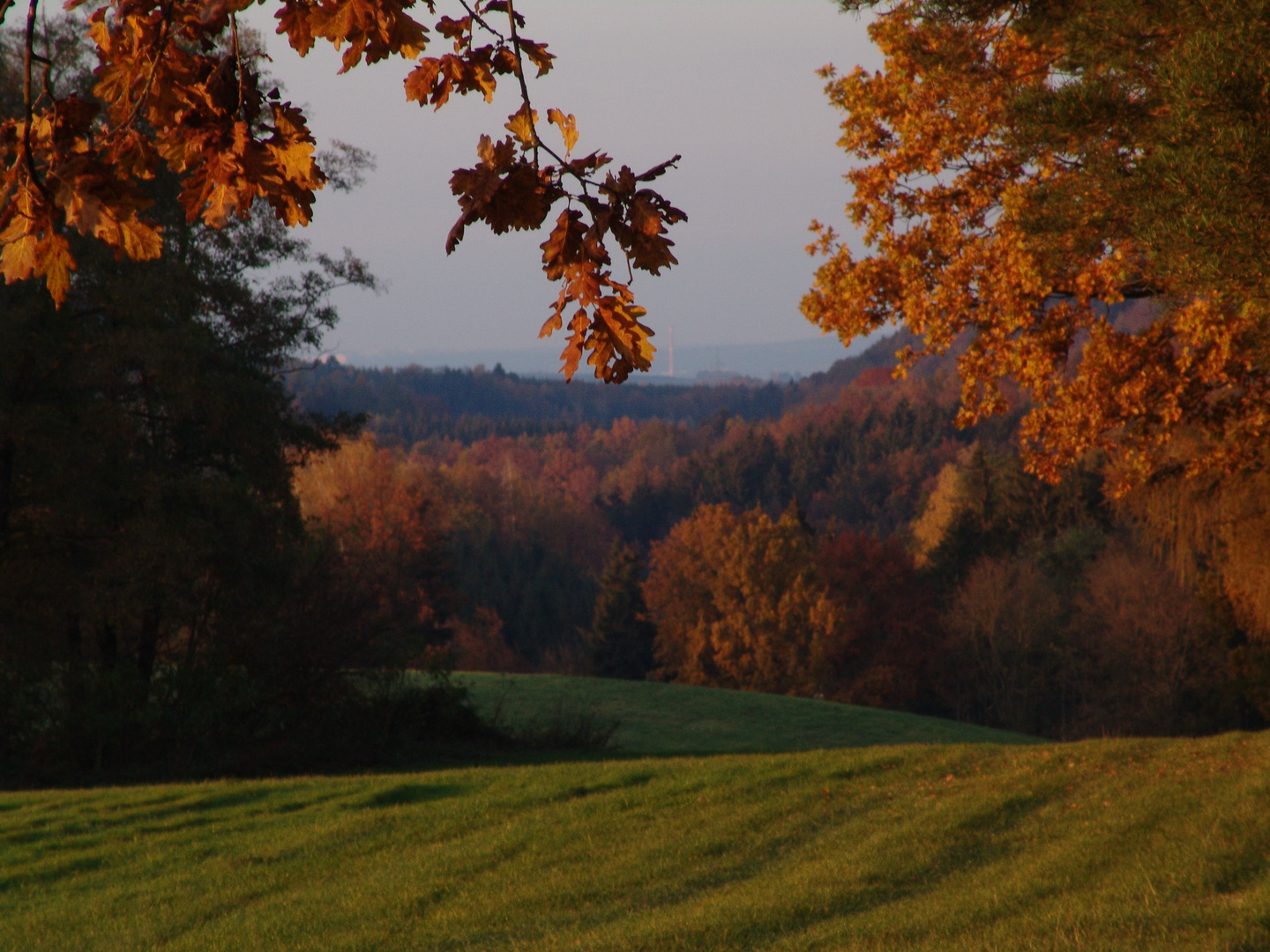 goldener Oktober